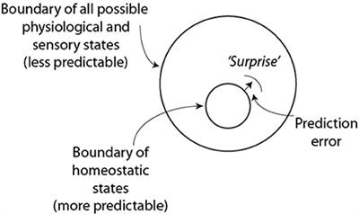 Are Neurodynamic Organizations A Fundamental Property of Teamwork?